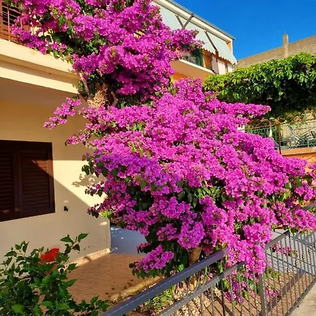 Apartman Ruza Podgora (Split-Dalmatia)